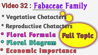 FABACEAE Family Description  Floral Formula Floral Diagram amp Economic Importance of Papilionoidae [upl. by Ydderf]