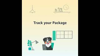 How to Track Your Amazon Delivery [upl. by Norrehs233]