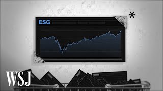 What Are ESG Funds and Why Are They Under Scrutiny [upl. by Marley]