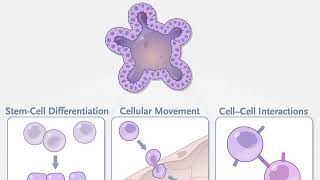 Organoid Technologies in Research [upl. by Lodnar764]