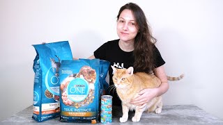 Purina ONE Cat Food Review We Tried It [upl. by Hulbig645]