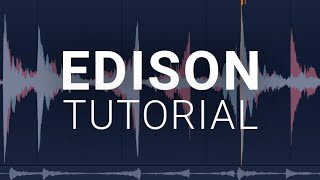 How To Use The Edison  FL Studio Tutorial [upl. by Akinhoj]