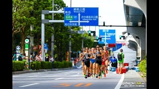 Elite Womens Highlights 2019 Tokyo ITU World Triathlon Olympic Qualification Event [upl. by Halverson]