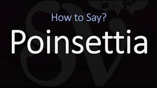 How to Pronounce Poinsettia CORRECTLY [upl. by Tempest]