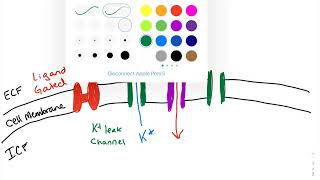 10 Leak Channels [upl. by Eudocia]