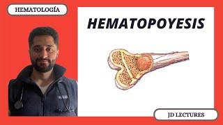 HEMATOPOYESIS  HEMATOLOGÍA [upl. by Doersten]