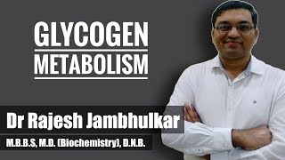 10 Glycogen metabolism Glycogenesis and Glycogenolysis [upl. by Gabriele764]