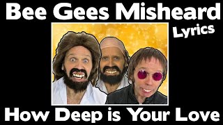 SO FUNNY  Bee Gees Misheard Lyrics  How Deep is Your Love  With Stevie Riks [upl. by Martino730]