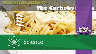 Biomolecules The Carbohydrates [upl. by Emera639]