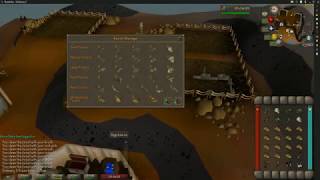 How To Clean Or Identify Fossils  OSRS  Fossil Island Unidentified Fossils [upl. by Aninay]