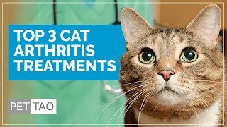 Top 3 Cat Arthritis Treatments  Make Your Cat Feel Better [upl. by Inimod777]