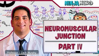 Musculoskeletal System  Neuromuscular Junction Pathologies Part 4 [upl. by Hgielsa]