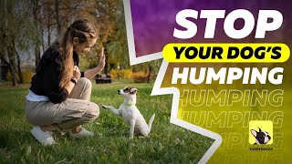 Why Do Dogs Hump  How to Stop Dog HumpingMounting  EveryDoggy [upl. by Corinne331]