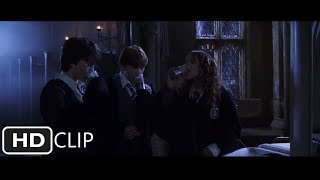 Polyjuice Potion  Harry Potter and the Chamber of Secrets [upl. by Aimar]