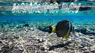 Unbelievable Snorkeling at Hanauma Bay Oahu Hawaii [upl. by Schaaff]