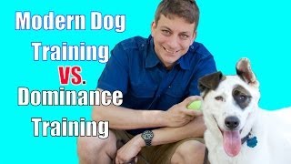 The Dominance Myth in Dog Training Explained [upl. by Yluj205]