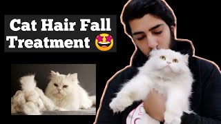 How to quickly stop cats hair fall problem  Stop Persian Cat hair fall  Cat hair shedding season [upl. by Eelarak]