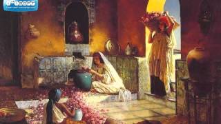 The magnificient ottoman empire  turkish harem music [upl. by Onifur]