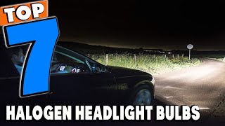 Top 7 Best Halogen Headlight Bulbs Review in 2024 [upl. by Arikahc]