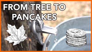 Making Maple Syrup at Home Start to Finish [upl. by Atsillak]