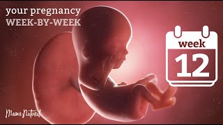 12 Weeks Pregnant  Natural Pregnancy WeekByWeek [upl. by Ociram854]