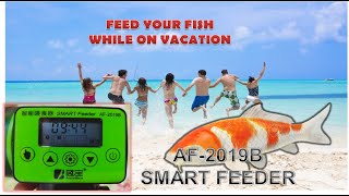 SETTING AF2019B SMART FEEDER EXPLAINED IN DETAIL [upl. by Bakeman963]