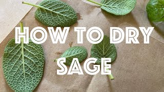 How to Dry Sage [upl. by Schlicher154]