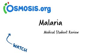 Malaria  Osmosis Study Video [upl. by Booma866]