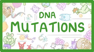 GCSE Biology  What are DNA Mutations 67 [upl. by Otineb685]