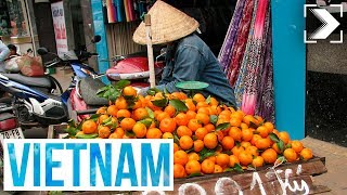 Españoles en el mundo Vietnam 13  RTVE [upl. by Yerroc]