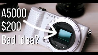 Is a 200 Sony Camera a WASTE of money Sony A5000 Review [upl. by Johathan]