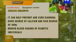 Good Morning Kuya Health Benefits of Duhat [upl. by Tebazile19]