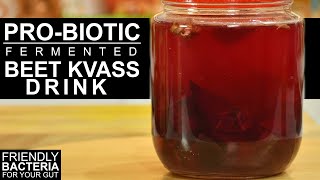 Beet Kvass Drink  Beetroot Kvass  Probiotic Drink  Beetroot Juice ChefHarpalSingh amp Danashree [upl. by Coleville]