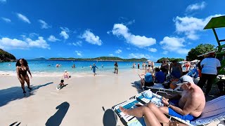 Virgin Islands Beach Walk  Coki Point  December 27 2022  St Thomas USVI [upl. by Noisla]