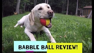 Babble Ball Review  Dog Toy review and play [upl. by Nabois]