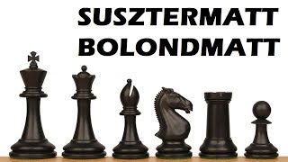 A leggyorsabb sakkjátszmák susztermatt bolondmatt [upl. by Onek332]