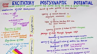 Excitatory Post Synaptic Potential EPSP  Easy Flowchart  Physiology [upl. by Anisor]