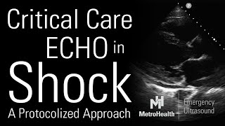 Critical Care Echocardiography in Shock [upl. by Arawaj]