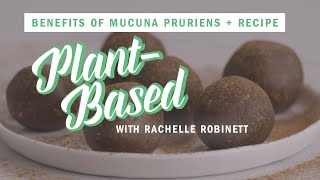 Mucuna Pruriens Benefits  Bliss Ball Recipe  PlantBased  WellGood [upl. by Esereht]