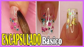 0621 ENCAPSULADO BÁSICO en Uñas Acrílicas para PRINCIPIANTES 💗 Curso GRATIS Uñas Acrílicas [upl. by Ener702]