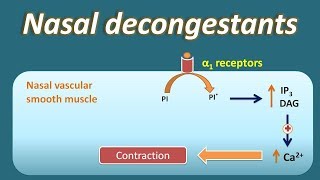 Nasal decongestant  How they act [upl. by Arutek333]