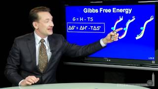 Gibbs Free Energy [upl. by Haimirej]