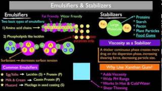 How Emulsifiers and Stabilizers Work [upl. by Rheba]