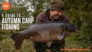 Adam Pennings Guide To Autumn Carp Fishing [upl. by Enahs]