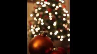 Bing Crosby  I Wish You A Merry Christmas [upl. by Eramat]