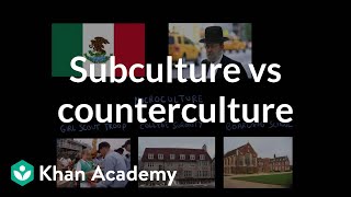 Subculture vs counterculture  Society and Culture  MCAT  Khan Academy [upl. by Giselbert]