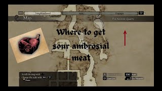 Dragons dogma Where to get Sour Ambrosial Meat [upl. by Giacopo522]