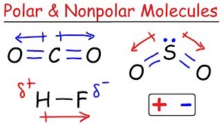 Polar and Nonpolar Molecules [upl. by Elayor]