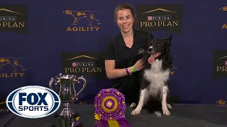 WATCH Best of 2021 Masters Agility Championships from Westminster Kennel Club  FOX SPORTS [upl. by Treblig]