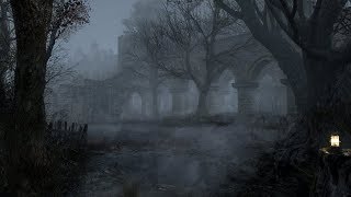 Haunted Forest Sounds  Ghostly Murmurs  1 Hour [upl. by Aliam]